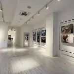 Clemente Rizzatti in mostra alla Galleria Rossini di Pesaro