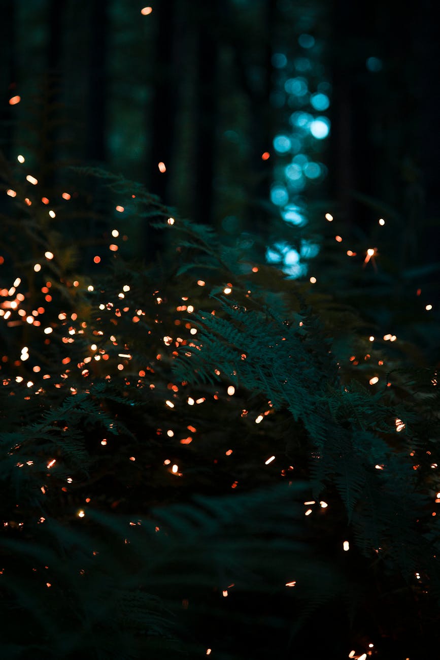 Pesaro, passeggiate serali sul San Bartolo tra le lucciole
